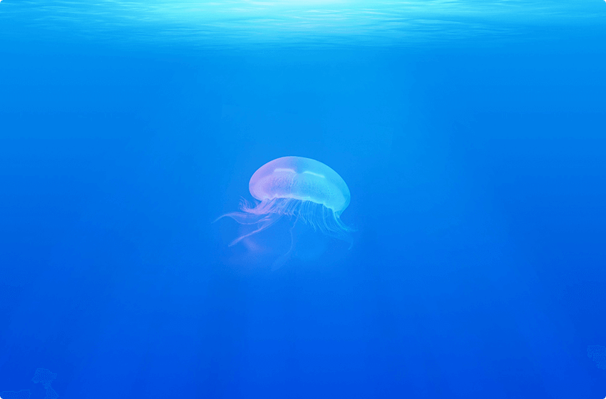 Bel-Air anchored by a multi level mansion property complete